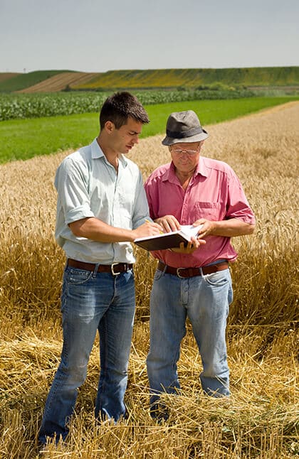 Location de foncier agricole