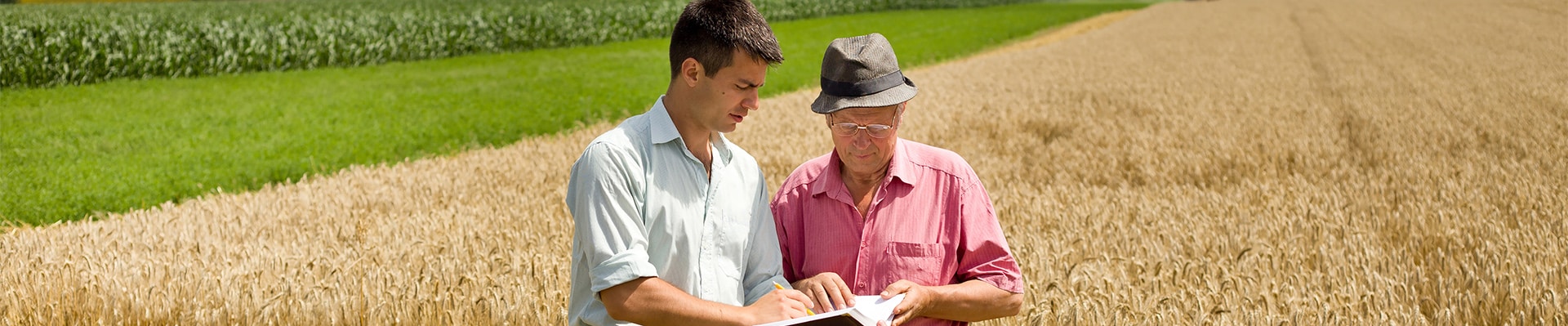 exploitant agricole