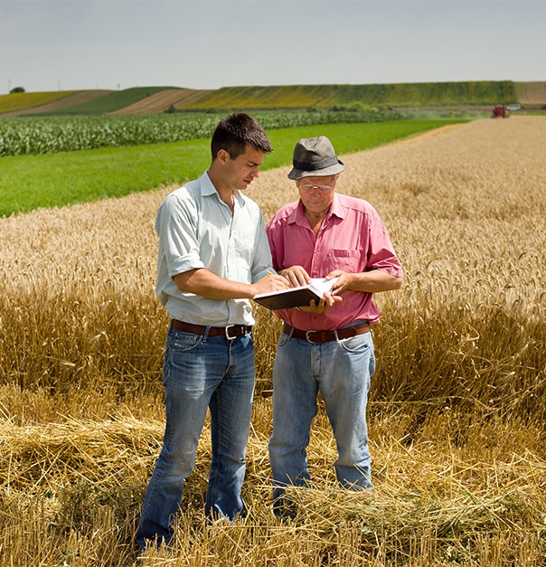 agriculteurs sur une exploitation