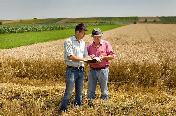 agriculteurs sur une exploitation
