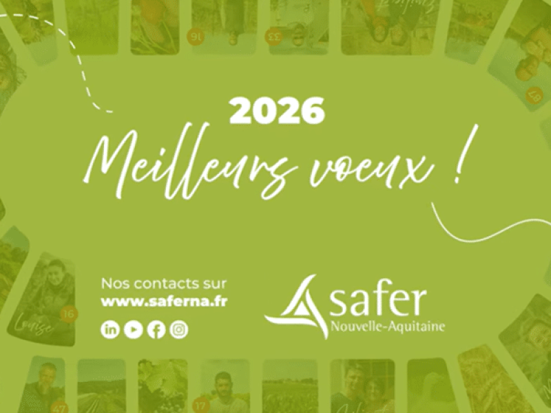 image voeux 2026